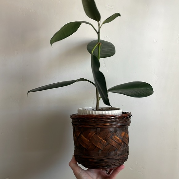 •| vintage plant basket - Picture 2 of 5